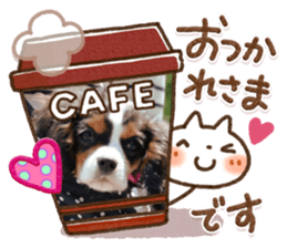 313558645