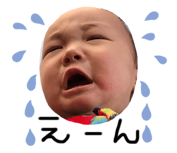 313558731