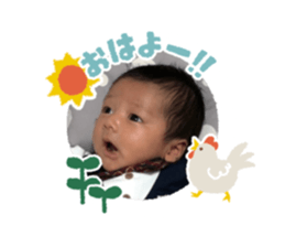 313717956