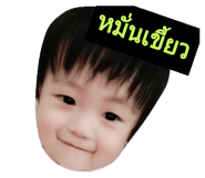 31373722