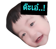 31373724
