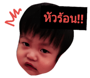 31373725