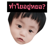 31373732