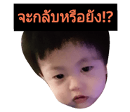 31373733