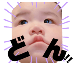 313759160