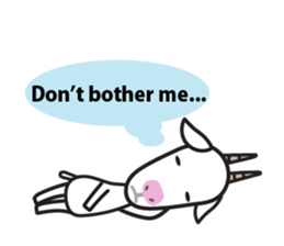 3137776
