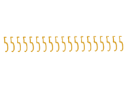 31397404