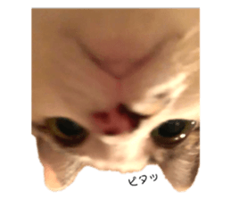 314001157