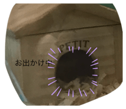 314063031