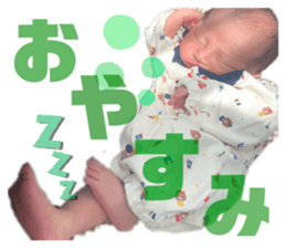 314078661