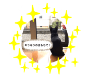 314192753