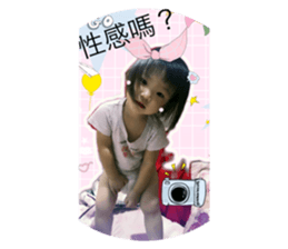 31445506
