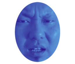 314503084