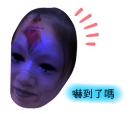 314542806