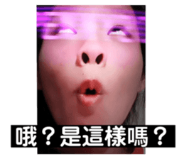314542816