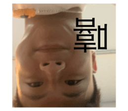 314548961