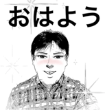 31455352