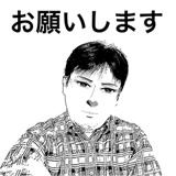 31455357