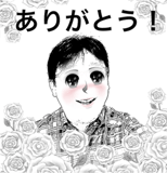 31455361