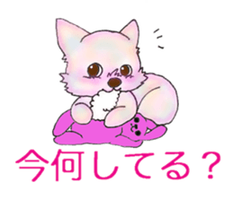 31456249