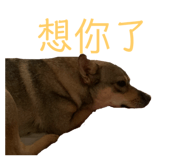 314563179