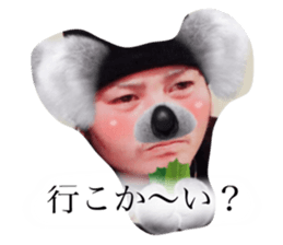 31459884