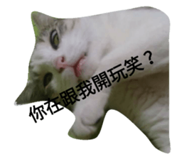 31466258
