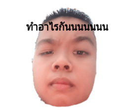 314748462
