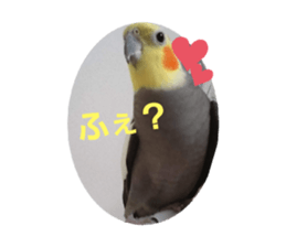 314756908