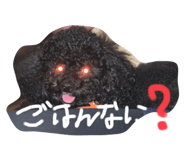 314817125