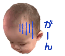 314863504