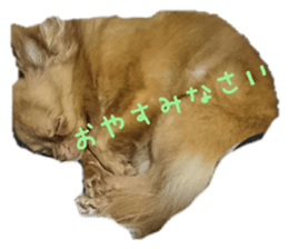 314868993