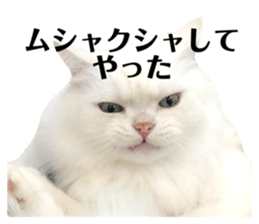 314951962