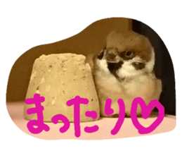 315070899