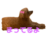 315103783