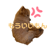 315103798