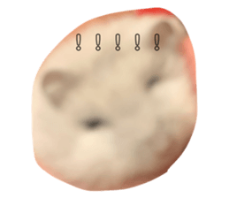 315104583