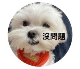 315182613