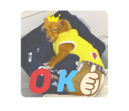 315226183