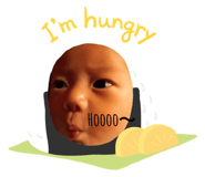 315270192