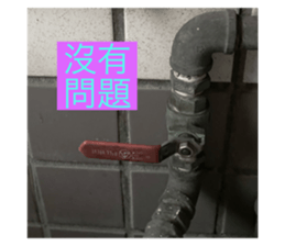 315296509