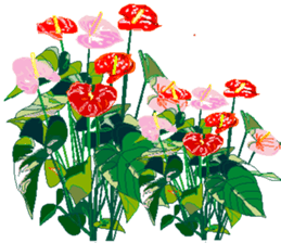 31535835