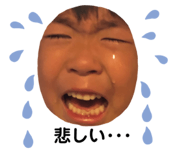 315533343