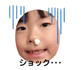 315533344