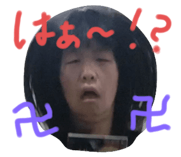 315538578