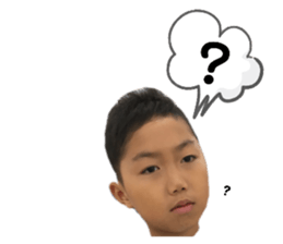 315544241