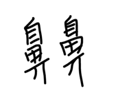31575178