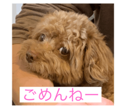 315787053