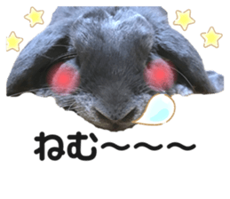 315787636