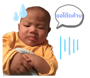 315805476